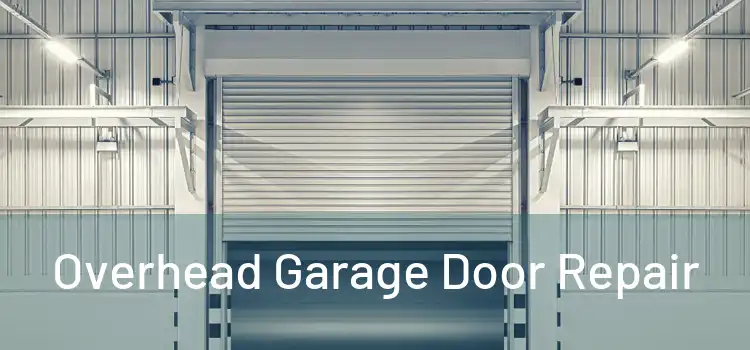  Overhead Garage Door Repair 